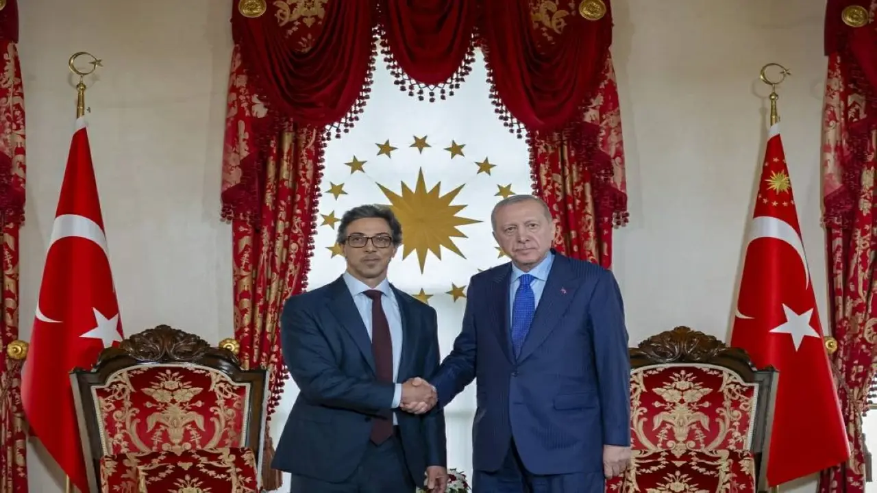 منصور بن زايد وأردوغان يبحثان تطورات الشرق الأوسط وتداعياتها على الأمن الإقليمي